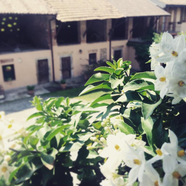 Agriturismo Cascina Magana ブラーゴ・ディ・モルゴラ エクステリア 写真
