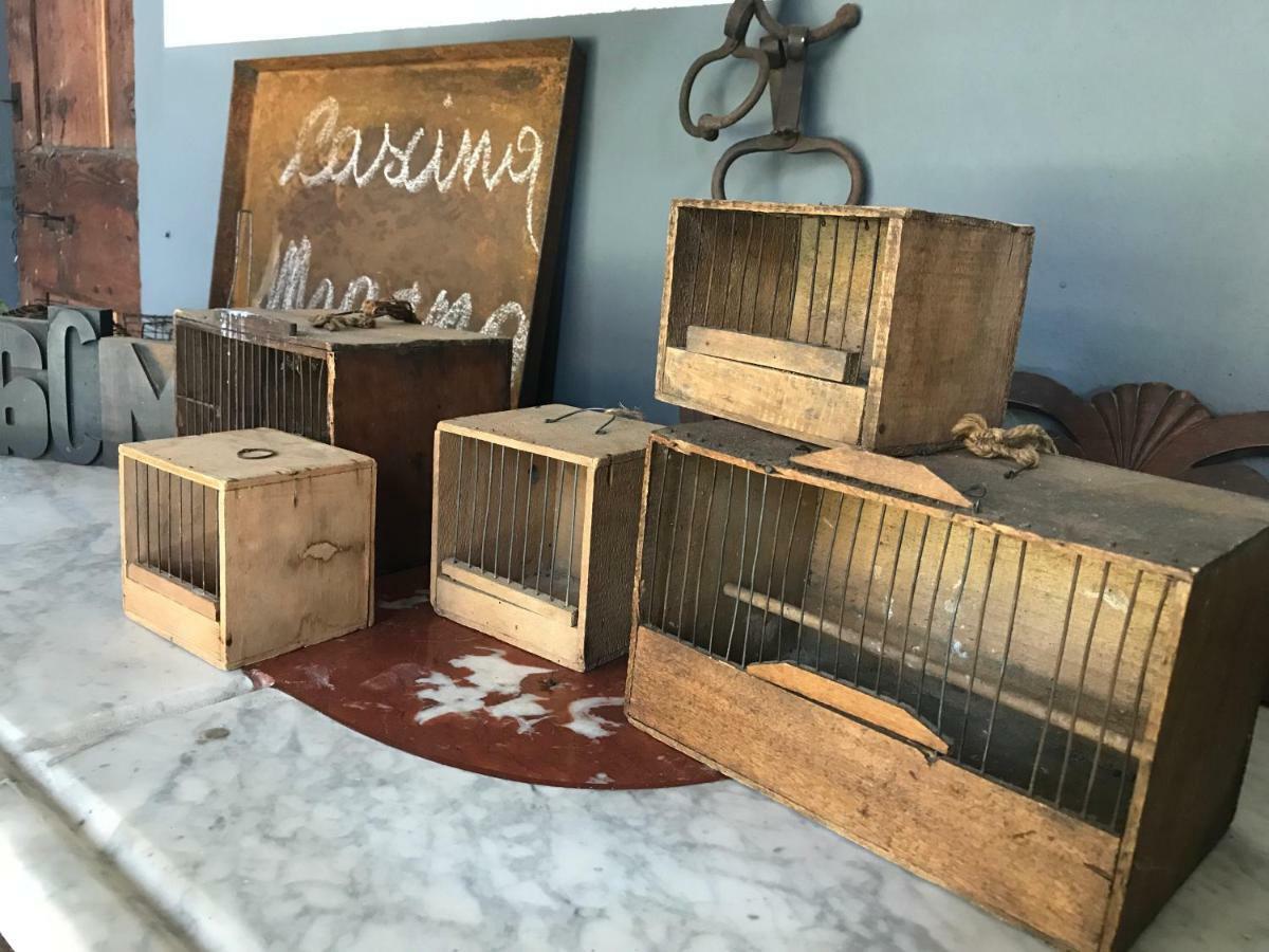 Agriturismo Cascina Magana ブラーゴ・ディ・モルゴラ エクステリア 写真